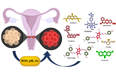 Cervical cancer imaging with organic small molecule NIR fluorophores: Design strategies and biomedical applications 2025.100813